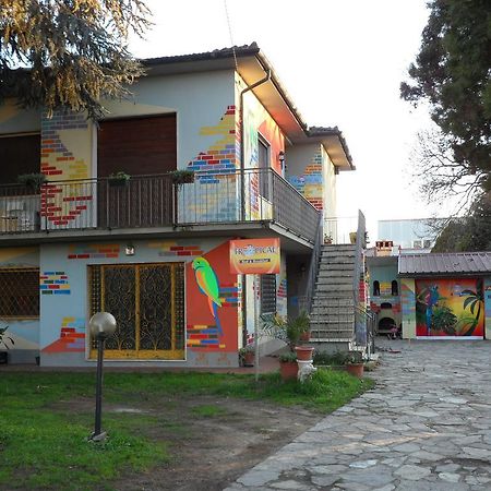 Tropical Bed&Breakfast Lucca Eksteriør bilde